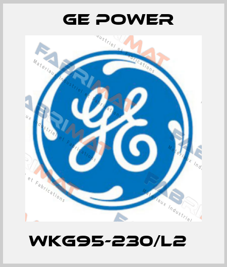 WKG95-230/L2   GE Power