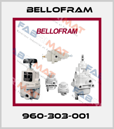 960-303-001  Bellofram