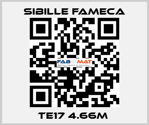 TE17 4.66M  Sibille Fameca