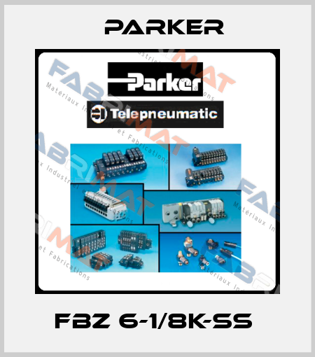 FBZ 6-1/8K-SS  Parker
