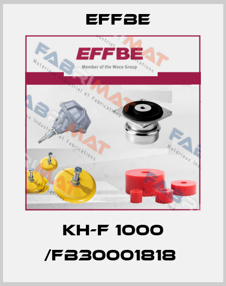 KH-F 1000 /FB30001818  Effbe