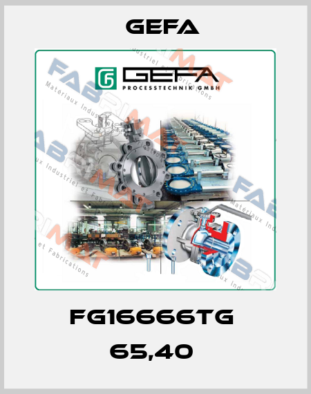FG16666TG  65,40  Gefa