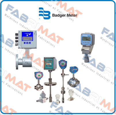 259025-0004  Badger Meter