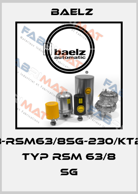99373-RSM63/8SG-230/KT24669  Typ RSM 63/8 SG Baelz