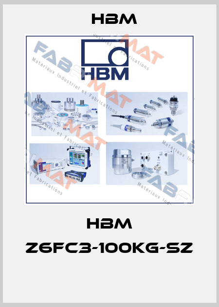 HBM Z6FC3-100kg-SZ  Hbm