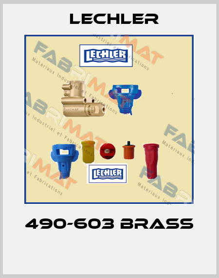 490-603 Brass  Lechler