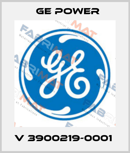 V 3900219-0001  GE Power