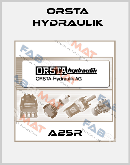 A25R Orsta Hydraulik