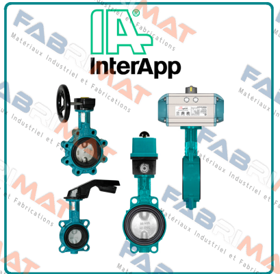 A324EC DN150 PN16  InterApp