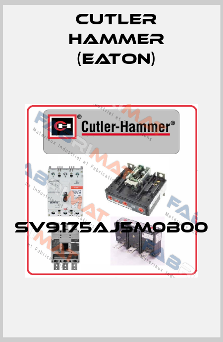 SV9175AJ5M0B00  Cutler Hammer (Eaton)