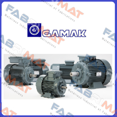 AGM 132S/4 IE2 B3 220V with brake  Gamak