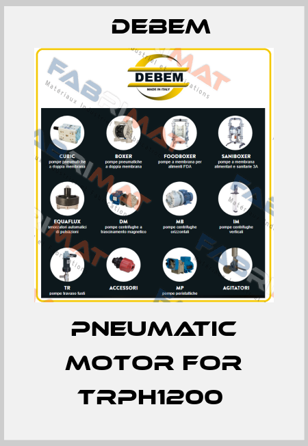 Pneumatic motor for TRPH1200  Debem