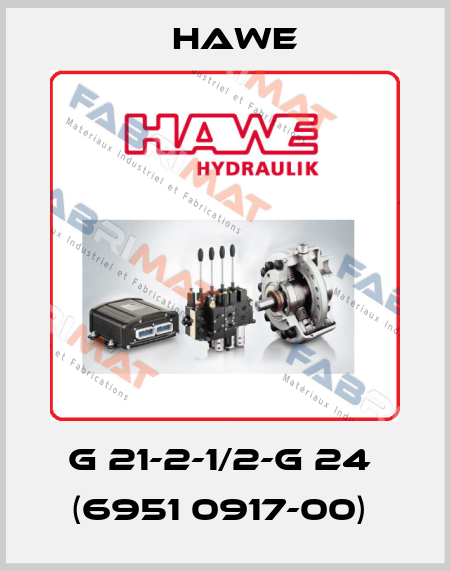 G 21-2-1/2-G 24  (6951 0917-00)  Hawe