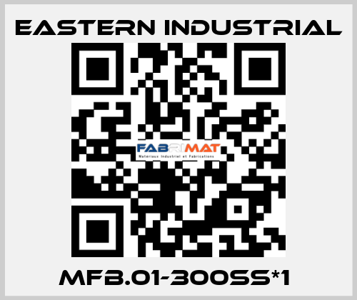 MFB.01-300SS*1  Eastern Industrial