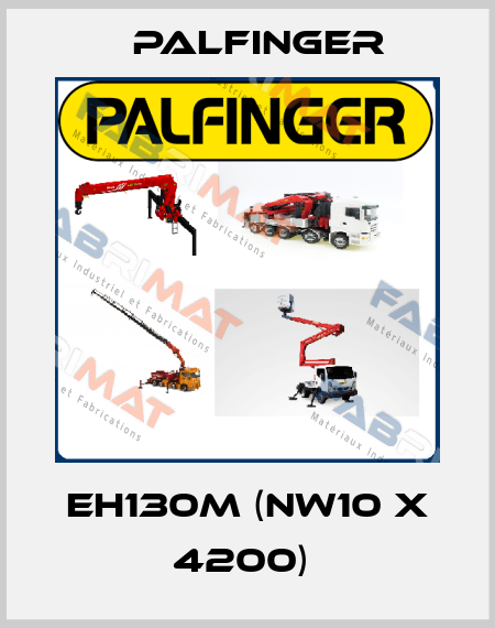 EH130M (NW10 x 4200)  Palfinger