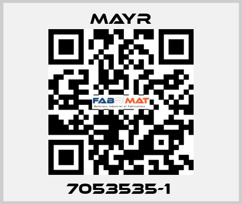 7053535-1  Mayr