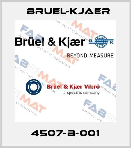 4507-B-001 Bruel-Kjaer