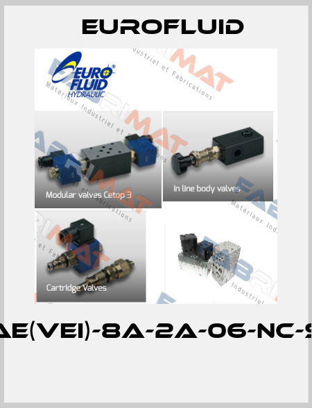 AE(VEI)-8A-2A-06-NC-S  Eurofluid