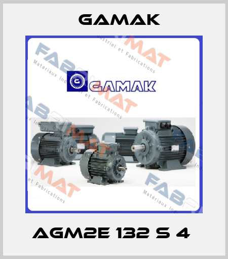 AGM2E 132 S 4  Gamak