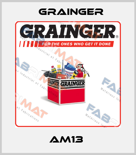 AM13  Grainger