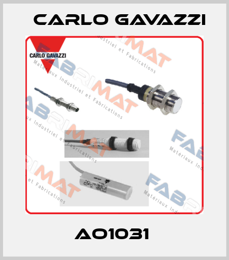 AO1031  Carlo Gavazzi