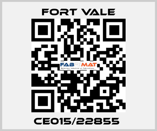 CE015/22855  Fort Vale