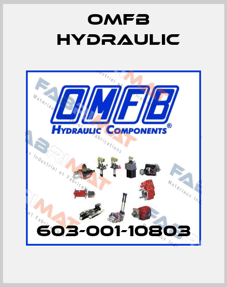 603-001-10803 OMFB Hydraulic
