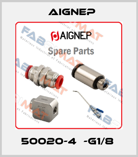 50020-4  -G1/8  Aignep