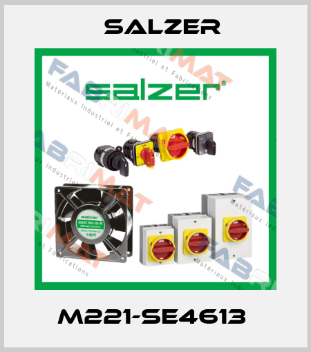 M221-SE4613  Salzer