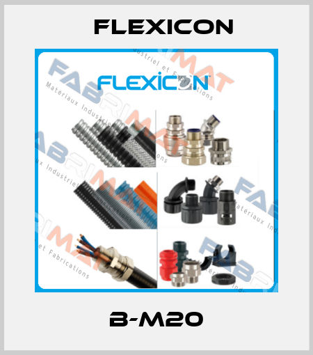 B-M20 Flexicon