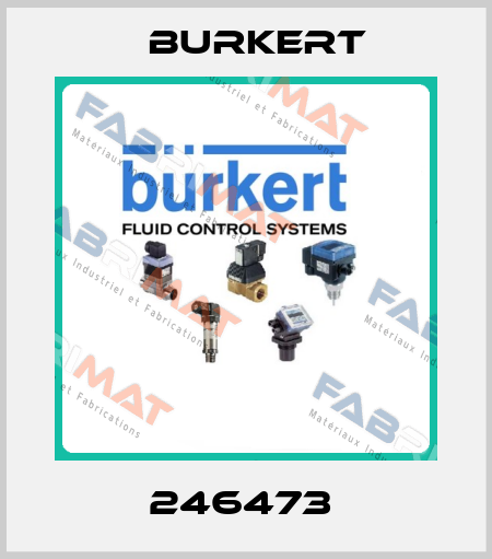 246473  Burkert