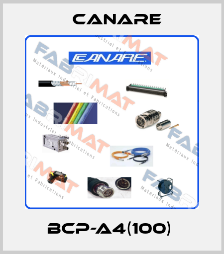 BCP-A4(100)  Canare