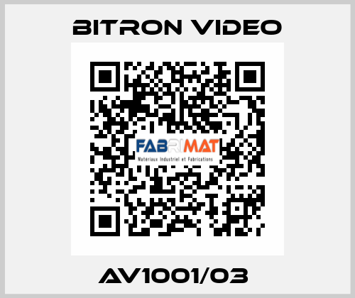 AV1001/03  Bitron video
