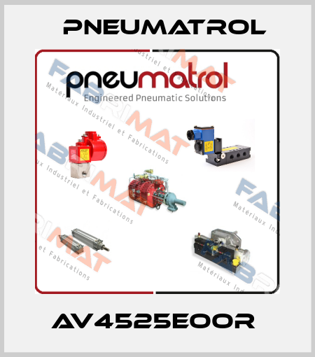 AV4525EOOR  Pneumatrol