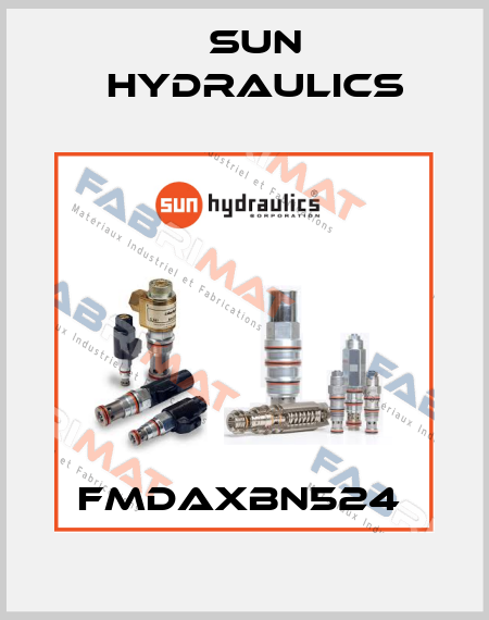 FMDAXBN524  Sun Hydraulics
