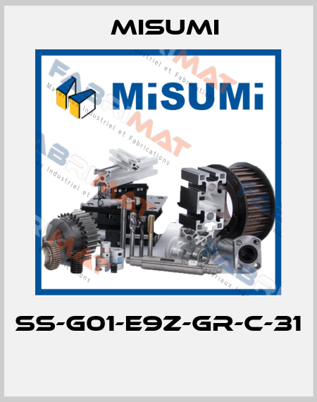 SS-G01-E9Z-GR-C-31  Misumi
