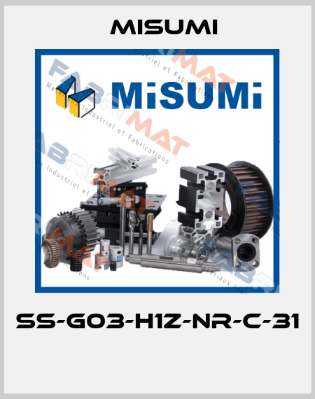 SS-G03-H1Z-NR-C-31  Misumi