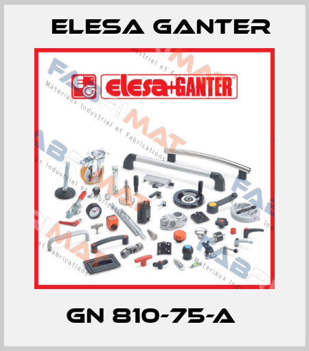 GN 810-75-A  Elesa Ganter