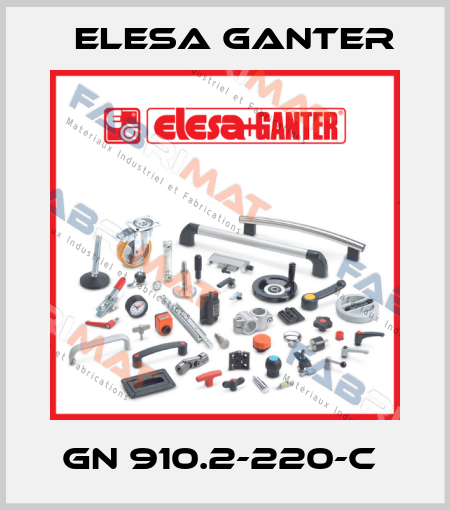 GN 910.2-220-C  Elesa Ganter