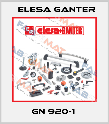 GN 920-1  Elesa Ganter