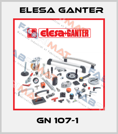 GN 107-1  Elesa Ganter