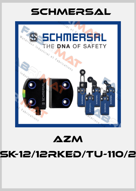 AZM 161SK-12/12RKED/TU-110/230  Schmersal