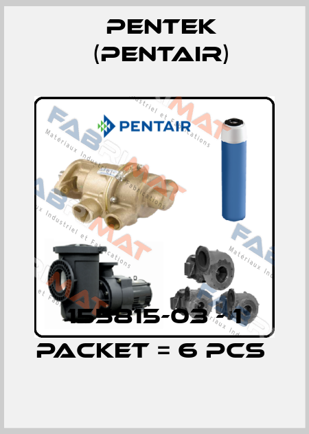 155815-03 - 1 packet = 6 pcs  Pentek (Pentair)