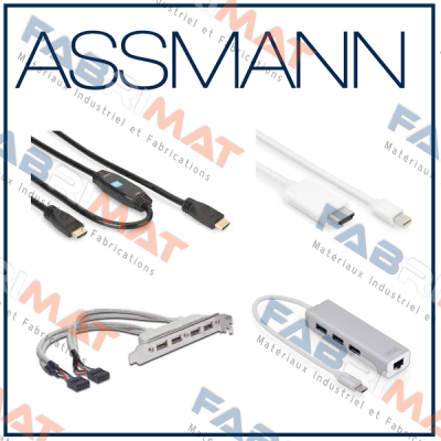 RJ45  Assmann