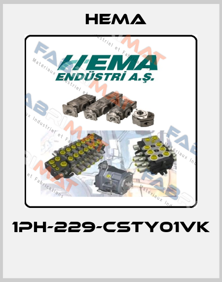 1PH-229-CSTY01VK  Hema
