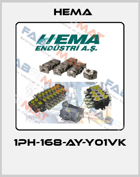 1PH-168-AY-Y01VK  Hema