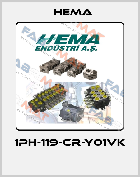 1PH-119-CR-Y01VK  Hema