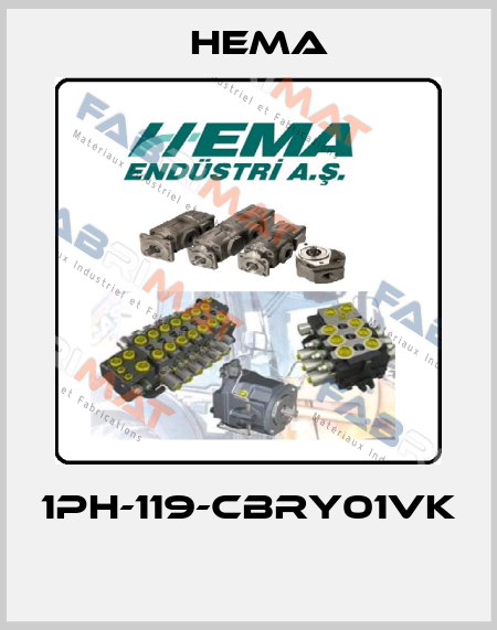 1PH-119-CBRY01VK  Hema