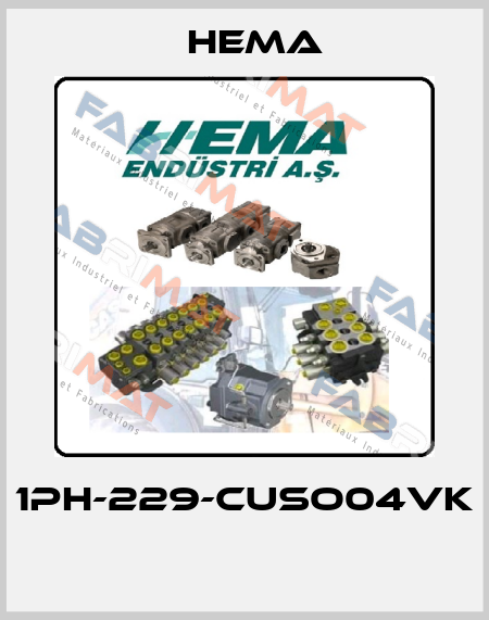 1PH-229-CUSO04VK  Hema