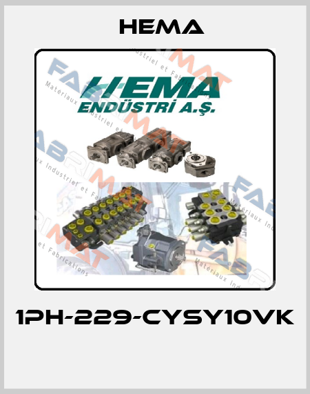 1PH-229-CYSY10VK  Hema